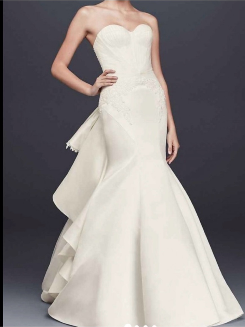 Truly Zac Posen dress